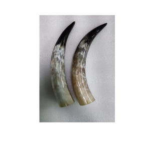 Uffalo-cuerno de búfalo para decorar el hogar y las habitaciones, cuerno montado en la pared, tamaño personalizado y precio barato - Product Image 2