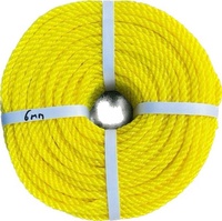 Cordes tressées torsadées en PE/Nylon de haute qualité, anti-bactériennes, anti-UV, durables, certifiées ISO 9001, diamètre 1-20 mm, emballage enroulé