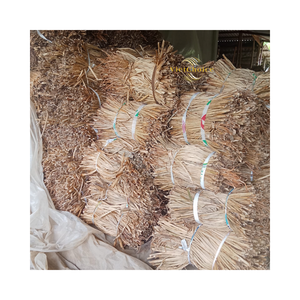 Fibra de Jacinto de Agua Cruda de Alta Calidad, Seca y Limpia, para Artesanía y Fabricación de Muebles - Product Image 6