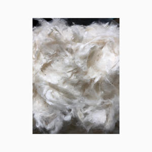 Manufacturer Supply High Quality <b>Raw</b> Organic <b>Cotton</b> Fiber for Exports - Product Image 5