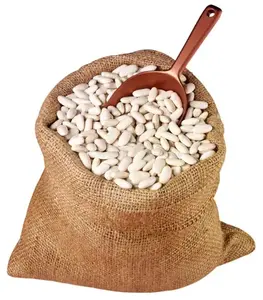 Frijoles blancos secos baratos de calidad agrícola Frijoles largos Frijoles blancos a la venta