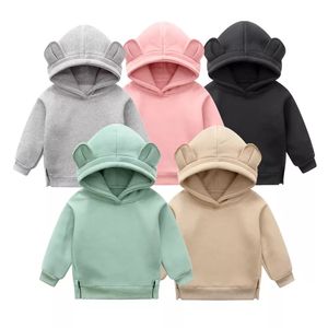 Latest Design Wholesale Factory Price Cotton Fleece Terry <b>Hoodie</b> Solid Causal Unisex Hoodies Set for Baby & Kids - Product Image 1