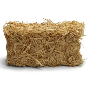 HIGH QUALITY AND HOT SALE// RICE STRAW FROM IN VIET NAM //Ms. Esther (WhatsApp: +84-963-590-549)