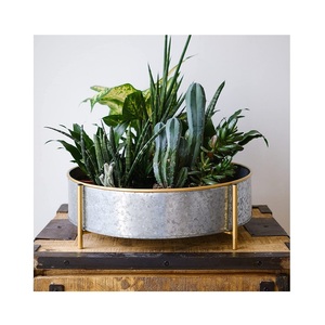 Macetero galvanizado con mango de madera, decoración de jardín, Cubo de flores - Product Image 2