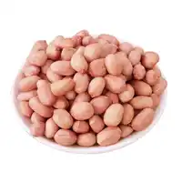 China compradores fabricantes personalizados embalagem 100 kg peanuts especificação de keril cru branco keril vermelho peanuts