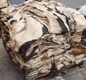 Wholesale Organic Split Dry Salted Cow Hides/Skins for Furniture & Shoes at <b>Cheap</b> Price - Product Image 2