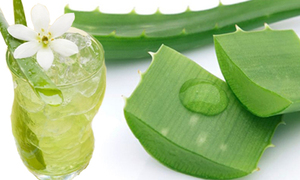 Gelée d'Aloe Vera naturellement rafraîchissante avec une texture légère et croustillante à base de véritable aloès, idéale pour une hydratation quotidienne et saine - Product Image 4