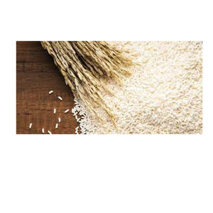 Arroz Blanco de Grano Largo al por Mayor, Textura Seca y Suave, Alta Calidad de Brasil a Precio Económico - Product Image 1