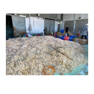 Cartilage d'algues de qualité supérieure séché et emballé frais adapté à de multiples repas et besoins culinaires dans de nombreux styles - Product Image 5