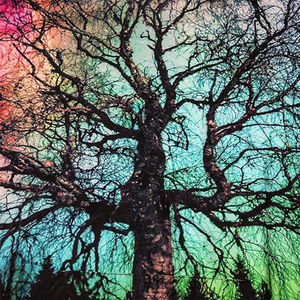 Sudaderas térmicas de tela de algodón para hombre, Sudadera con capucha de sublimación de gran tamaño informal en blanco personalizada, logotipo bordado con impresión Digital Unisex - Product Image 3