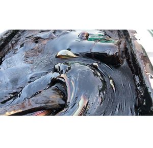 Vente chaude de résine de Shilajit de l'Himalaya séchée au soleil classée en or au-dessus de 18000FT Le Shilajit de l'Himalaya le plus pur de Skardu Pakistan - Product Image 5