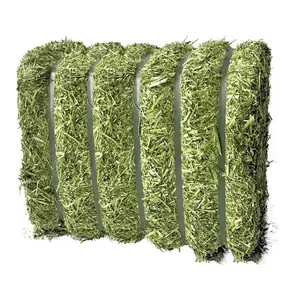 Großhandelspreis für Alfalfa-Hoyhähnpellets - Kaufen Sie billige Alfalfa-Hähnpellets in Dubai