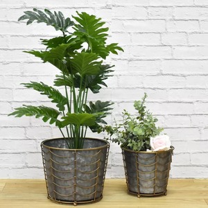 Garden Galvanized Planter With Golden Wire Planter with Metal Wire <b>Basket</b> for Home Decoration Grey and Golden Color - Product Image 2