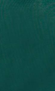 Sudaderas con Capucha para Hombre, Casuales, de Invierno, 100% Algodón, con Logotipo Personalizado, para Adultos - Product Image 4