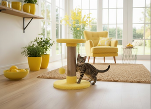 ที่ลับเล็บแมวคุณภาพสูง Amistar Ray of Play สำหรับแมวทุกสายพันธุ์และทุกขนาด - Product Image 6