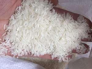 ข้าวบาสมาติกเมล็ดยาวออร์แกนิก ST25 100% เกรดส่งออกข้าวเวียดนามเกรดดีที่สุดสำหรับผู้ส่งออกข้าวที่เก็บเกี่ยวแบบแห้ง - Product Image 4