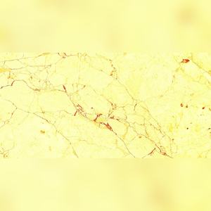 Dalles en céramique vitrifiée à l'éclat distingué 600x1200mm Améliorant les patios extérieurs, les galeries intérieures et plus encore - Product Image 1