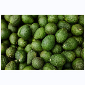 <b>Fresh</b> <b>Avocado</b> / Hass <b>Avocado</b>, <b>Avocado</b> For Sale - Product Image 2