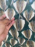 POISSON SÉCHÉ DE HAUTE QUALITÉ VIETNAMIEN SNACK/POISSON À TREVALLY À RAYURES JAUNES SÉCHÉES À VENDRE AVEC BON PRIX