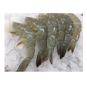 Crevettes Vannamei blanches HLSO surgelées de qualité supérieure, sans tête, avec coquille - Product Image 4