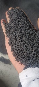 Premium Quality Black Sesame <b>Seeds</b> for Cooking or Baking and Snacking or Edible Oil Extraction Available at Best Price - Product Image 5