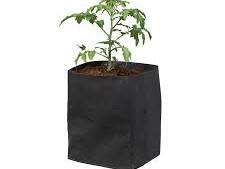 Venta al por mayor de bolsas de cultivo de fibra de coco biodegradables, bolsas ecológicas para plantar frescas para jardinería hidropónica y crecimiento sostenible - Product Image 4