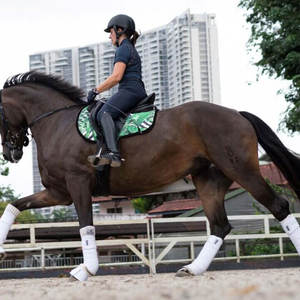 2023 Meilleure vente de tapis de selle équestre pour cheval fabriqué en polyester avec mousse à mémoire de forme Tapis de selle de protection pour cheval avec logo personnalisé - Product Image 3