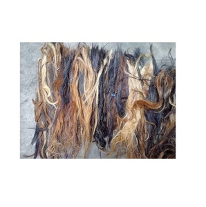 Pelo de cola de búfalo peinado moderno, estilo animal, precio de fábrica, calidad Natural, buey de búfalo y pelo de caballo crudo y cosido - Product Image 2