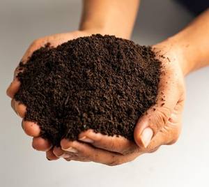 Vermicompost naturel de grandes qualités pour augmenter le taux de germination - Product Image 3
