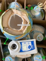 Coco joven y fresco de Vietnam Marcas OEM Precio barato Buena calidad Coco fresco dulce _ WA84972678053