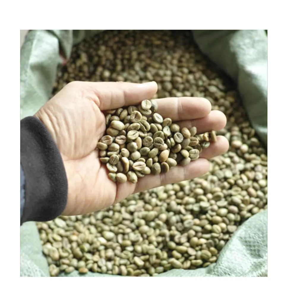 Grains de café crus grains de café arabica robusta grains de café torréfiés 100% arabica livraison rapide