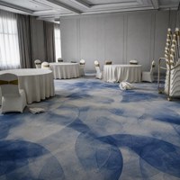 Tapis imprimé numérique HD en nylon abstrait, tapis mural pour hôtel, chambre d'hôtes, bureau, tapis imprimé commercial