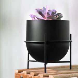 Maceta decorativa de gran oferta con soporte de trípode OEM ODM personalizada, buenos regalos para guardería, maceta con memoria para plantar flores favoritas - Product Image 5