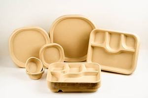 100% assiettes de bagasse de canne à sucre compostables de 6 à 12 pouces assiettes de bagasse biodégradables jetables naturelles avec respectueux de l'environnement - Product Image 5