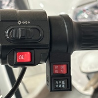 HLD China Triciclo Eléctrico de Reparto de Carga Grande de 1000W y 3 Ruedas con Caja de Carga y Escalera Lateral