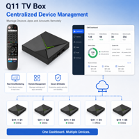 Nouvelle Box TV Android 14 Q11 S905X4 4 Go 32 Go 4K 1000M LAN WIFI BT Widevine L1 1 pièce MOQ Logo personnalisé Interface d'initialisation DIY Gestion des appareils CMS