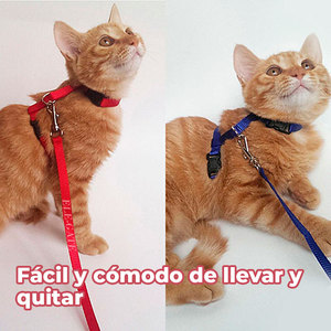 Imbracatura di Lusso per Gatti di Taglia Media con Guinzaglio, Stile Gilet Semplice, Colori Assortiti - Realizzata in Nylon e Poliestere per Animali Domestici di Taglia Grande e XL - Product Image 5