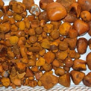 Calculs biliaires de boeuf de vache séchés disponibles à la vente - Product Image 1