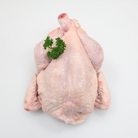 Vitamines biologiques de qualité supérieure, prix bas, vente en gros, poulet frais entier IQF, faible teneur en matières grasses, surgelé