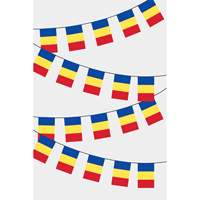Drapeau rectangulaire du Tchad, guirlande de fanions imprimés numériquement en polyester, pour affichage automobile, assurance, éducation