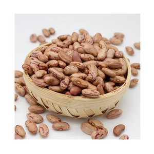 2025 New Crop Frijoles de la mejor calidad al por mayor Frijoles Pintos secos Frijoles de riñón moteados ligeros - Product Image 6