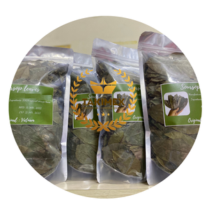 AL POR MAYOR CANTIDAD A GRANEL HOJAS DE URBANERA SECAS/HOJAS DE GRAVIOLA EN POLVO DE URENTA DE VIETNAM - Product Image 1