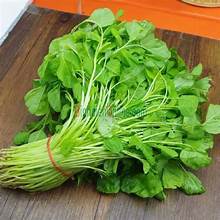 ÉTIQUETTE PROPRE À BASE DE PLANTES FEUILLES VERTES D'AMARANTE CONGELÉES NATURELLES SAINES SUPPORT IMMUNITAIRE OPTION SUPERALIMENTAIRE - Product Image 3