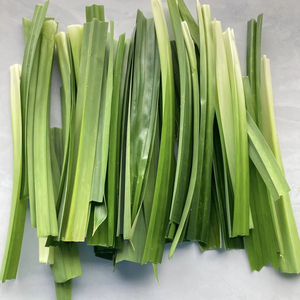 Poudre de feuilles de Pandan saveur verte naturelle de haute qualité prix bon marché approvisionnement en vrac en provenance du Vietnam - Product Image 6