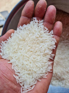 Importación de Arroz de Francia a Vietnam |   Arroz Francés, Arroz Asiático Fresco, Arroz Japonés Jazmín de Grano Largo, 5% de Grano Partido |   OO84825431311 - Product Image 6