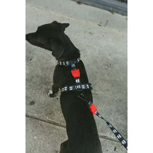 Skull 2.0 <b>Dog</b> <b>Harnesses</b> Breathable Reflective Personalized H-<b>Harness</b> Sport Cartoon Styles Available Small <b>Medium</b> XL Made Cotton - Product Image 3