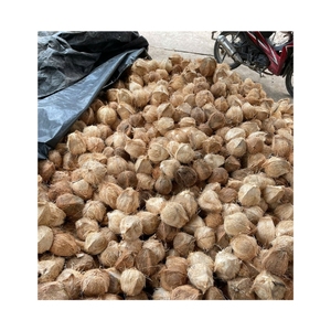 Entrega Inmediata: Coco Semi-Descascarado, Limpio y Seguro para Procesamiento Industrial Rápido y Cáscara Duradera para Proyectos de Arte Únicos - Product Image 2