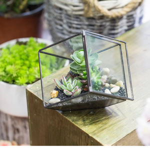 Top Seller Newest Design Clear Glass Geometric Terrarium Glass Vase Home Tabletop Office Restaurants Decoration Custom Finished - Product Image 3