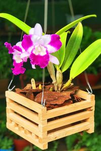 Pot de fleurs en bois souhaitant bien planteur arrière-cour jardin décor créatif jardinières en bois écorce pots de fleurs jardin - Product Image 5