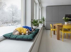 Amistar Premium Pet Bed — High-Quality <b>Cushion</b> Mat for Cats & Dogs of All Sizes and Ages. - Product Image 2